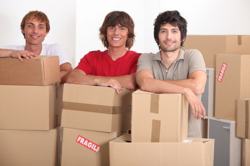 Image symbolising inclusive digital access for Sheffield removals